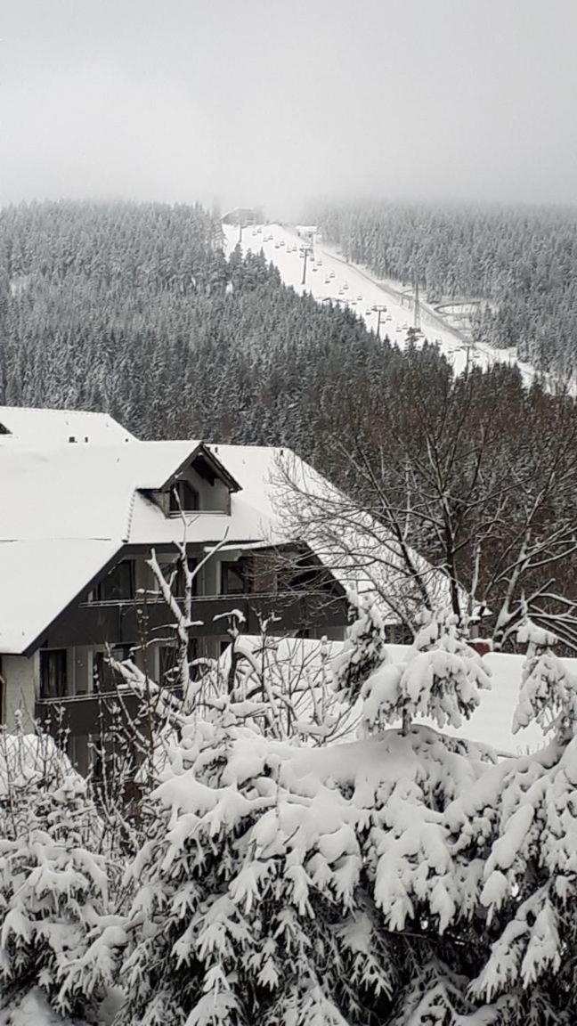 Ferienwohnung Steffens Hahnenklee Wohnung 25 Goslar Luaran gambar